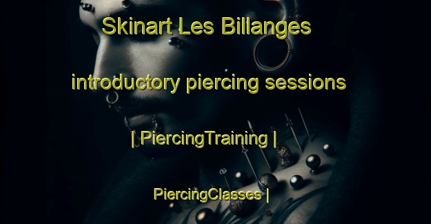 Skinart Les Billanges introductory piercing sessions | PiercingTraining | PiercingClasses | SkinartTraining-France
